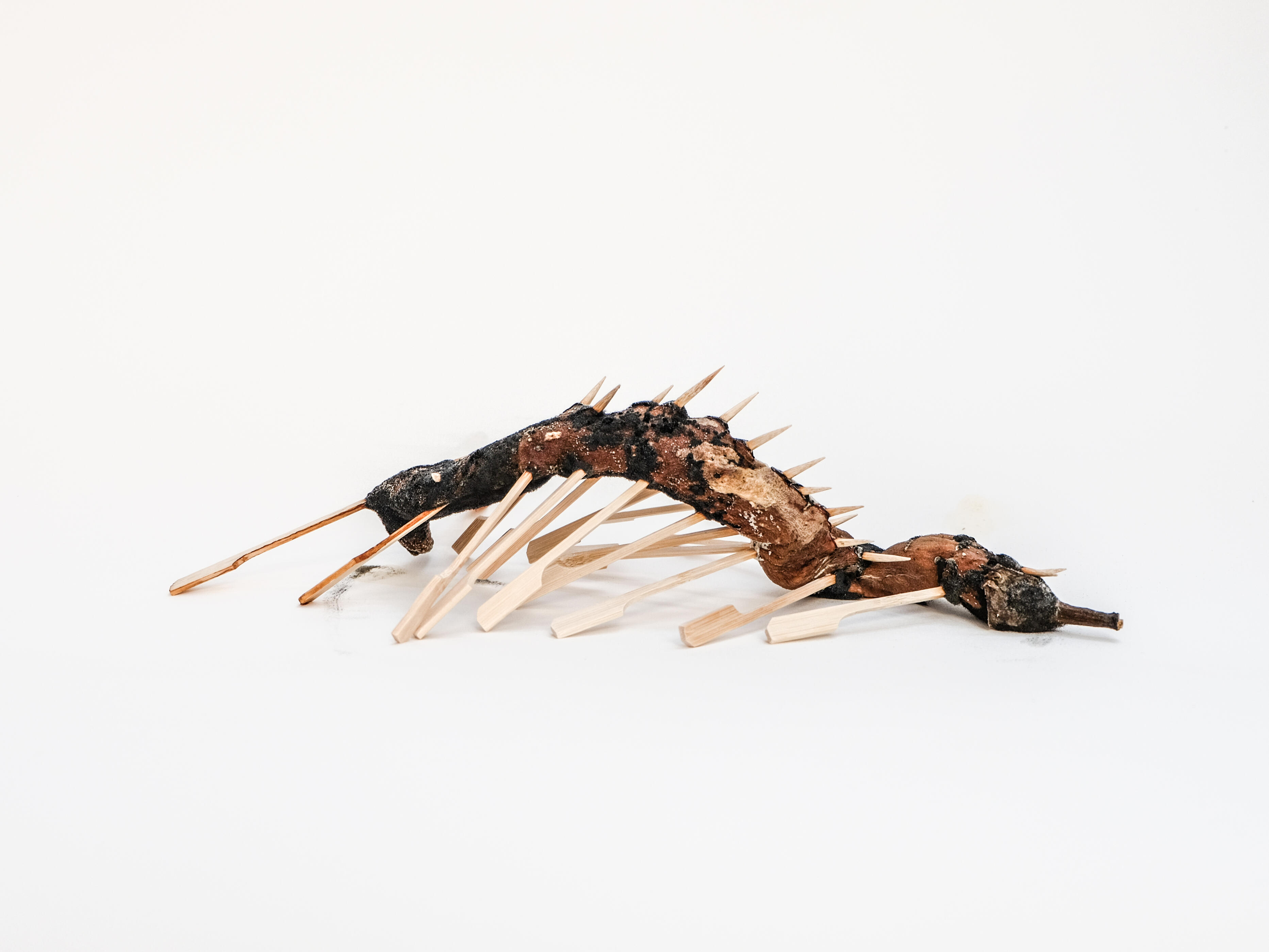 Canicule #1 (photographie numérique, 40x30cm, encadré), 2022.